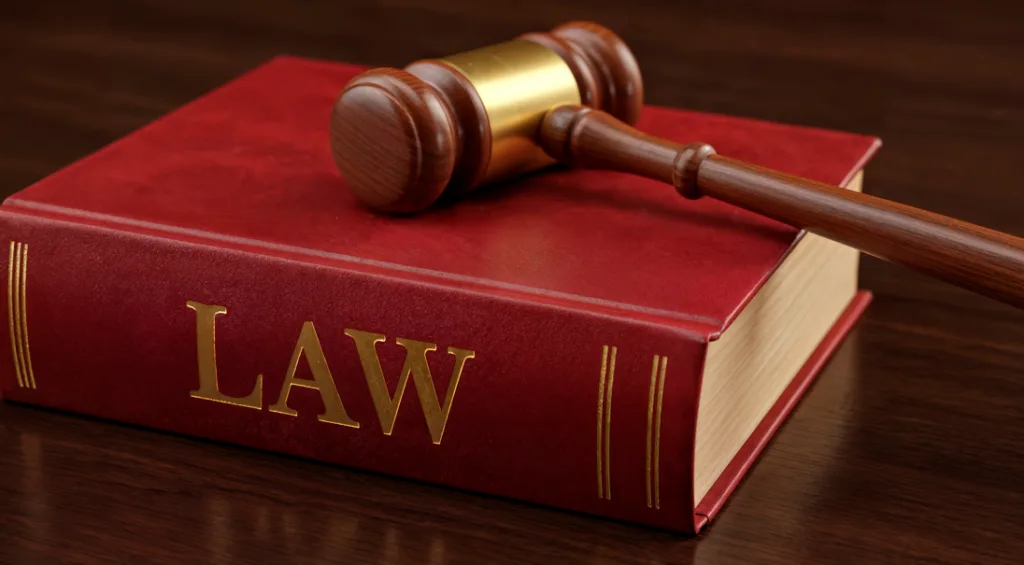 A desproporcionalidade da penalidade no Processo Administrativo Disciplinar: Livro de lei e martelo.
